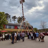 Biedenbacher Maifest - Aufstellen Maibaum