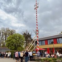 Biedenbacher Maifest - Der Maibaum steht