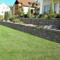 Angesäter Rasen mit Mauer und Bepflanzung
