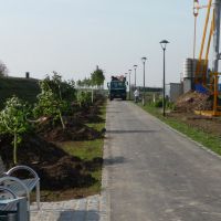 Cadolzburg: Baumpflanzung