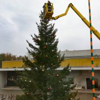 Der Baum wird geschmückt