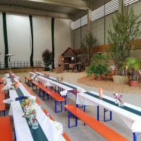 Halle Biedenbacher