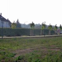 Cadolzburg: Sichtschutzwall mit Baumpflanzung