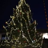 Am Weihnachtsbaume die Lichter brennen