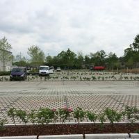 Parkplatz Mit Bepflanzung